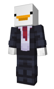 Minecraft skin V0nder