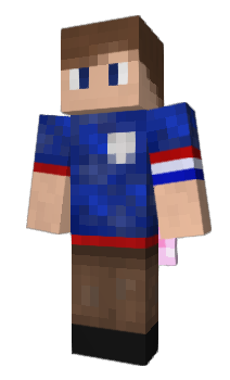 Minecraft skin Torder