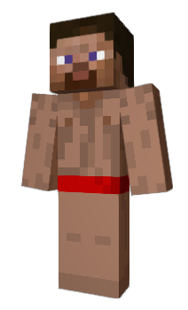 Minecraft skin tps12