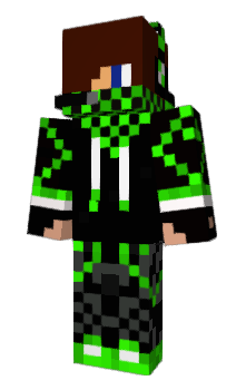 Minecraft skin S209