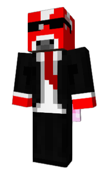 Minecraft skin Palledix