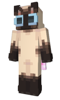 Minecraft скин по нику CA5IDU