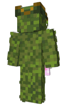 Minecraft skin iDinoo