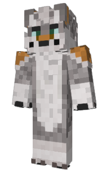Minecraft skin LOZF