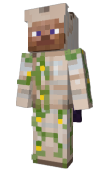Minecraft skin Iron