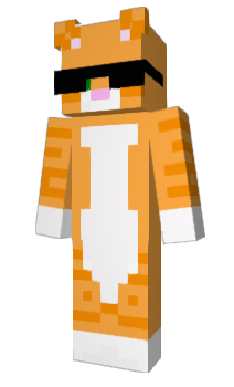 Minecraft скін по ніку Aliencat38