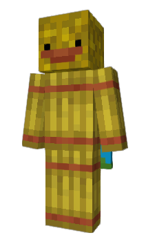 Minecraft skin christmashouse