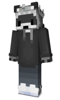 Minecraft skin Baskid