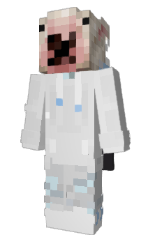 Minecraft skin _Zyloh