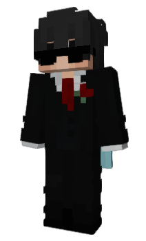 Minecraft skin NerMatrix