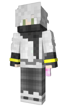 Minecraft skin Efob