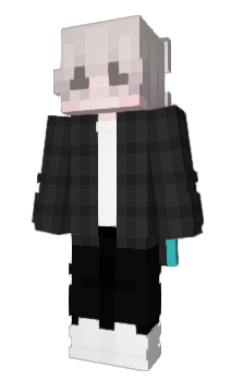 Minecraft skin msnd