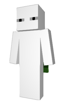 Minecraft skin 1864