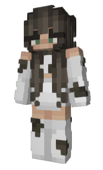 Minecraft скін по ніку brkic
