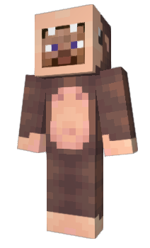 Minecraft skin roquid