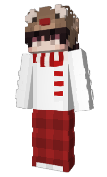 Minecraft skin Tourtheworld