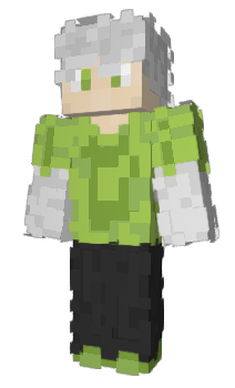 Minecraft skin FrustikeYT