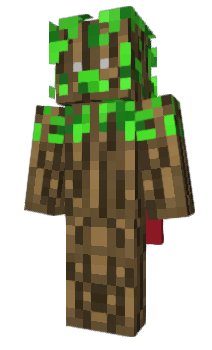 Minecraft скин по нику hoggyy