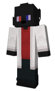 Minecraft skin Veeman3D