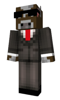 Minecraft skin pulu