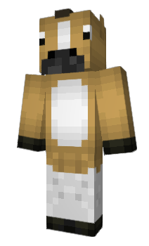 Minecraft skin Ragee