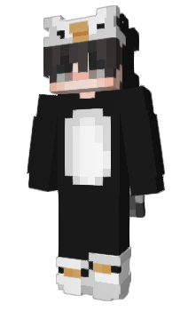 Minecraft skin xWity