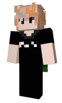 Minecraft skin Rayc4eck