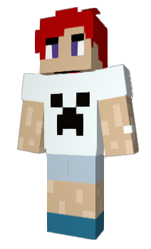 Minecraft skin Importor