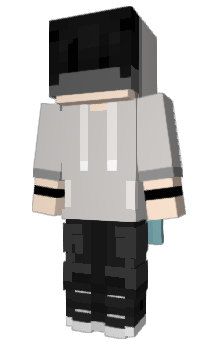 Minecraft скін по ніку WildJourney