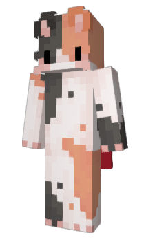 Minecraft skin 2o_o