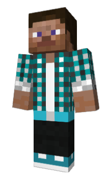 Minecraft skin teamhotwheel