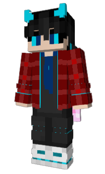 Minecraft skin ZQMM