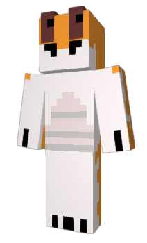 Minecraft skin RGAEmuya