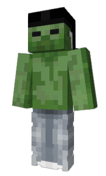 Minecraft skin Stile