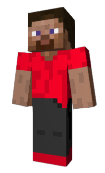 Minecraft скін по ніку BriRe
