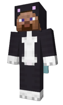 Minecraft скин по нику dollarsignz