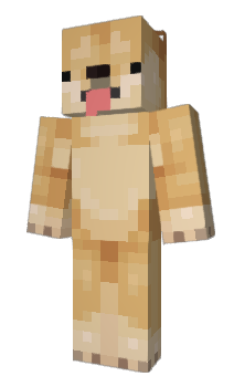 Minecraft skin BAYCHAA