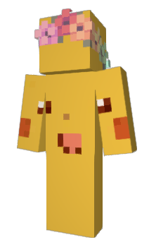 Minecraft skin kkacha