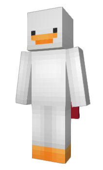 Minecraft skin xeraider