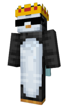 Minecraft скин по нику Tu_ccn1001ADMIN