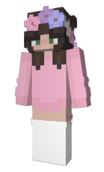 Minecraft skin Briixyz