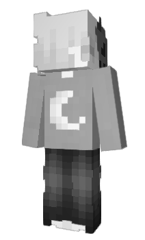 Minecraft skin newtscammander