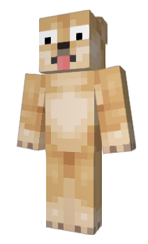 Minecraft skin CSYON