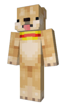 Minecraft skin Shadowdrifter