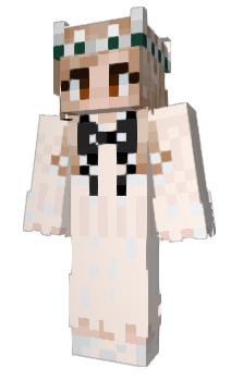 Minecraft skin Discx