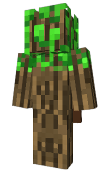 Minecraft skin TechReview