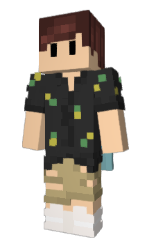 Minecraft skin Litox