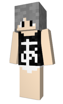 Minecraft skin ats10