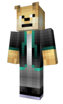 Minecraft skin ApexMine