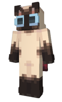 Minecraft skin conformational